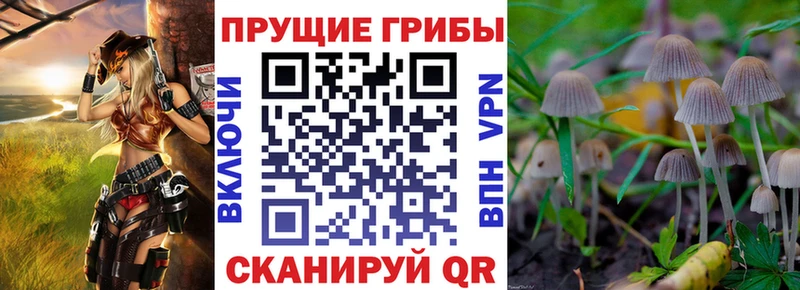 ссылка на мегу   Сарапул  Псилоцибиновые грибы MAGIC MUSHROOMS  купить наркоту 